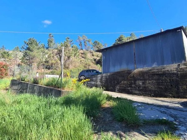 terreno agricolo in vendita a Casarza Ligure