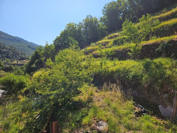 casa indipendente in vendita a Casarza Ligure in zona Massasco
