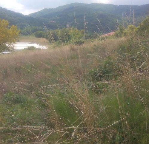 casa indipendente in vendita a Casella