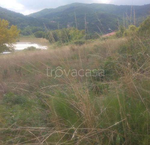 casa indipendente in vendita a Casella