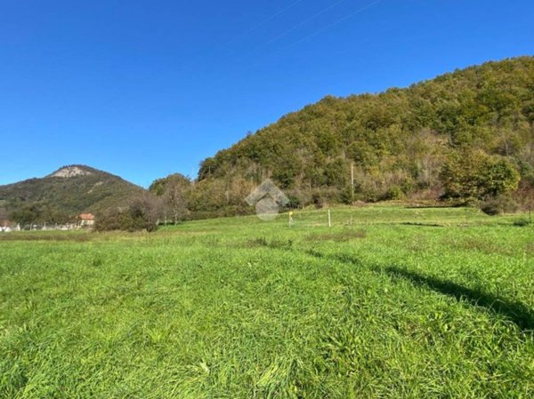 terreno agricolo in vendita a Casella in zona Avosso