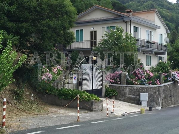 casa indipendente in vendita a Castiglione Chiavarese in zona Velva