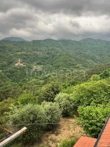 casa indipendente in vendita a Castiglione Chiavarese