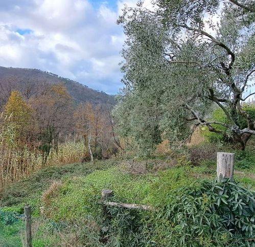 appartamento in vendita a Castiglione Chiavarese in zona Missano