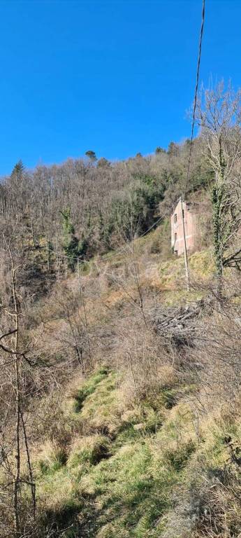 rudere in vendita a Castiglione Chiavarese