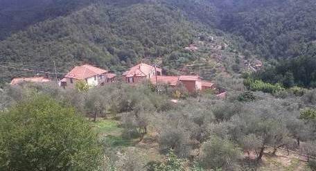 appartamento in vendita a Castiglione Chiavarese in zona Missano