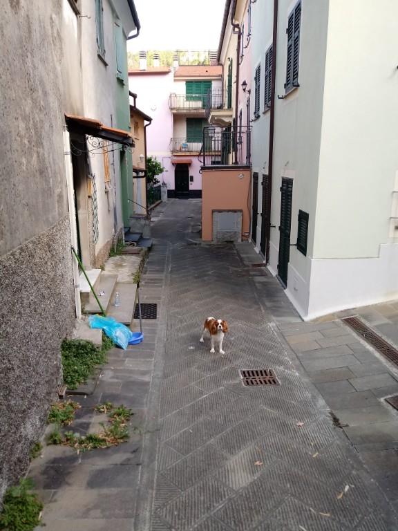 casa indipendente in vendita a Castiglione Chiavarese in zona Masso