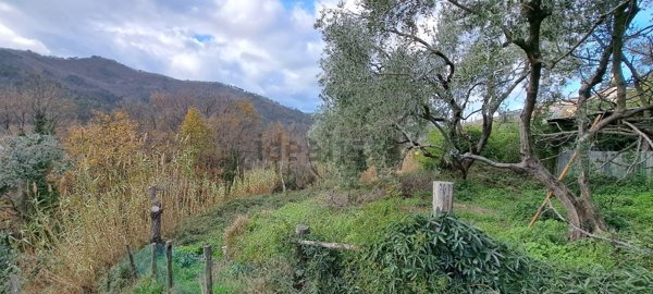 appartamento in vendita a Castiglione Chiavarese in zona Missano