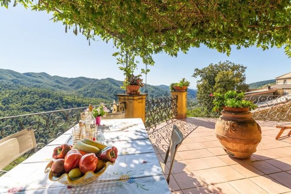 esavano in vendita a Castiglione Chiavarese in zona Velva