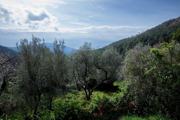 casa indipendente in vendita a Castiglione Chiavarese
