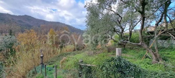 appartamento in vendita a Castiglione Chiavarese in zona Missano