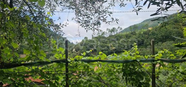 casa indipendente in vendita a Castiglione Chiavarese