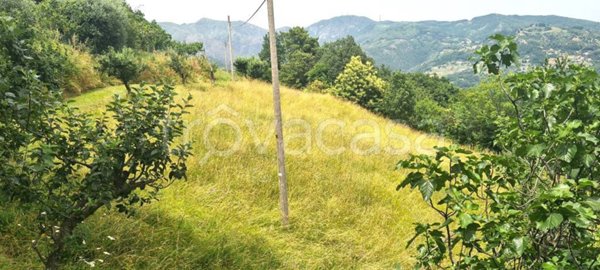 terreno agricolo in vendita a Ceranesi