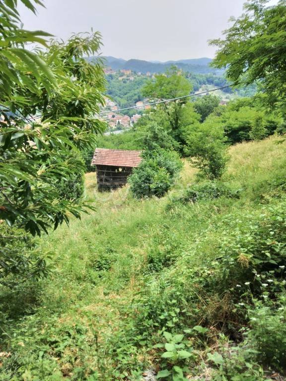 terreno agricolo in vendita a Ceranesi in zona Santa Marta