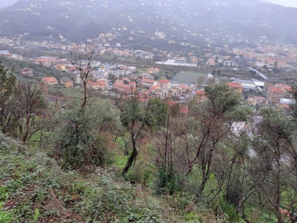 terreno agricolo in vendita a Chiavari in zona Caperana