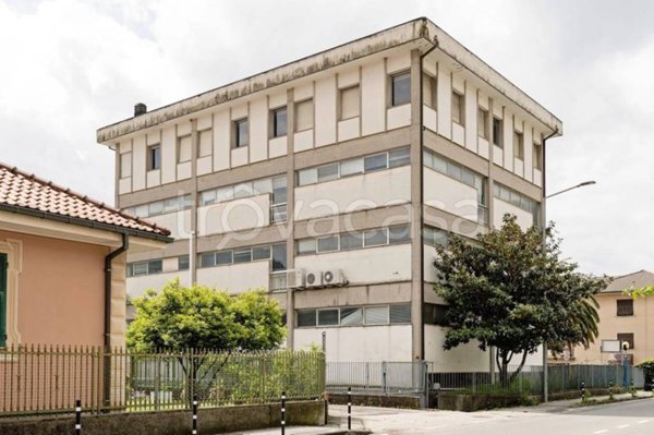 immagine annuncio 0 di 15