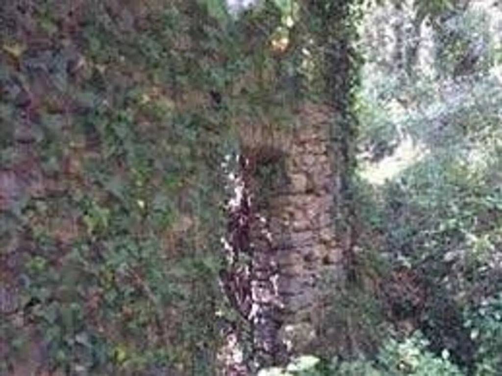 casa indipendente in vendita a Chiavari in zona Campodonico