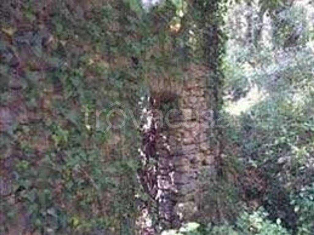 appartamento in vendita a Chiavari in zona Campodonico