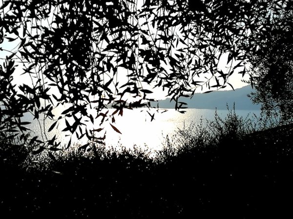 pentavano in vendita a Chiavari in zona Sant'Andrea di Rovereto