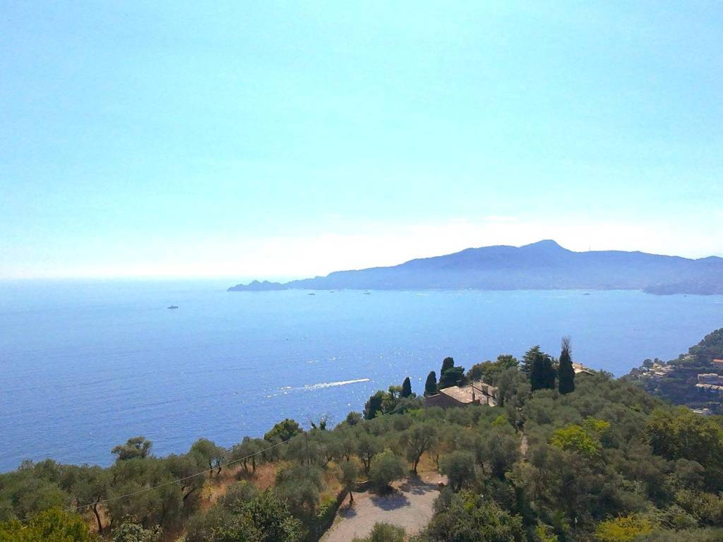 casa indipendente in vendita a Chiavari in zona Sant'Andrea di Rovereto