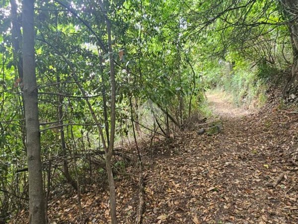 terreno agricolo in vendita a Chiavari in zona Caperana