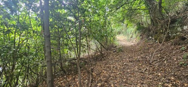 terreno agricolo in vendita a Chiavari in zona Caperana