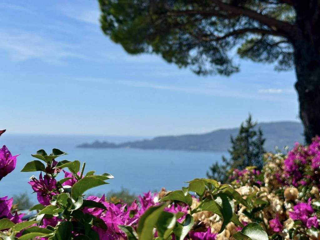 casa indipendente in vendita a Chiavari in zona Sant'Andrea di Rovereto