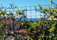 appartamento in vendita a Chiavari