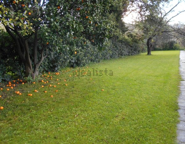 casa indipendente in vendita a Chiavari