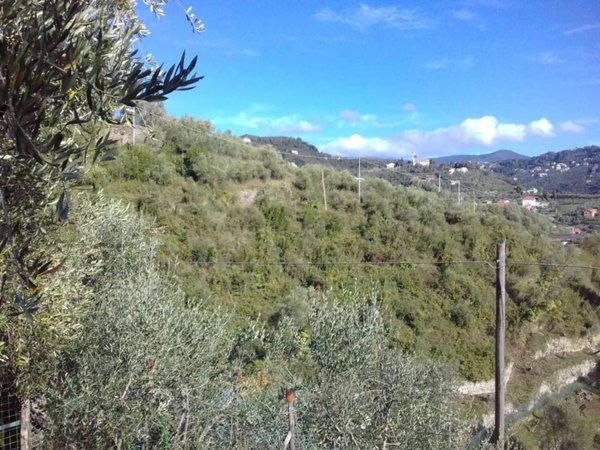 terreno agricolo in vendita a Chiavari in zona Campodonico
