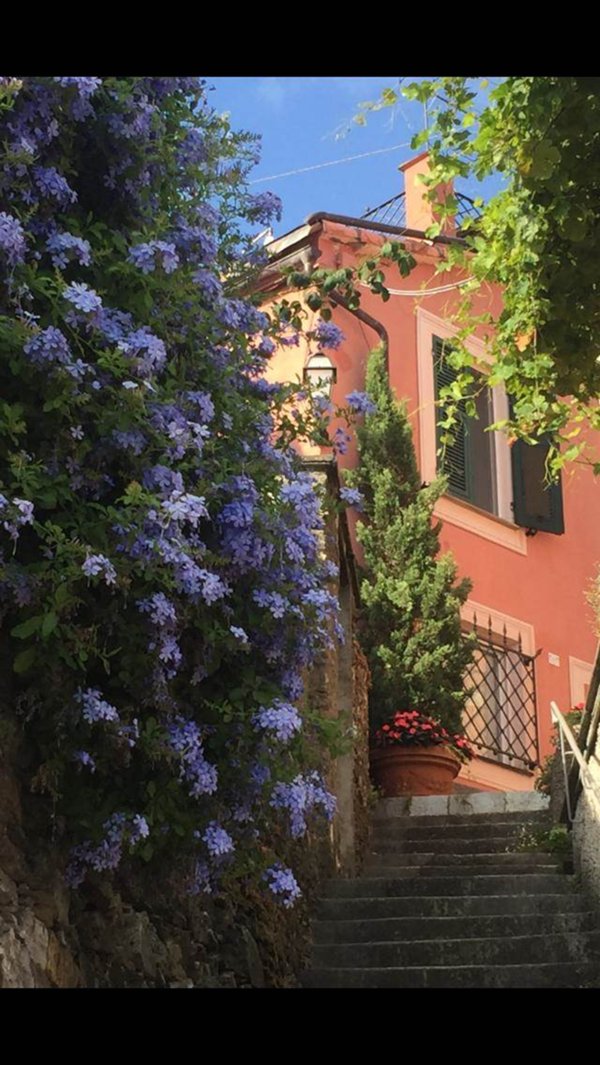 casa indipendente in vendita a Chiavari in zona Sant'Andrea di Rovereto