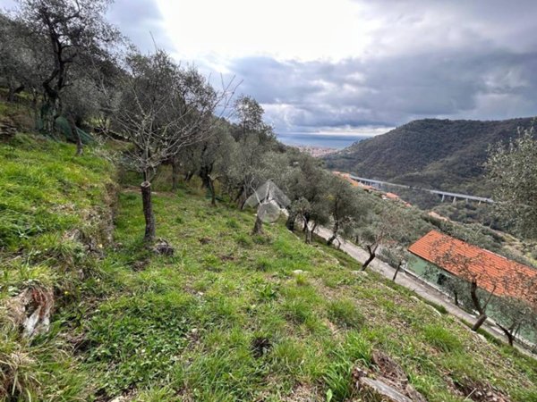 terreno in vendita a Chiavari in zona Sanguineto