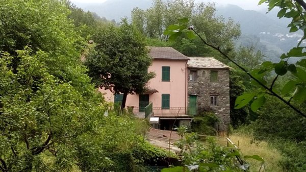 casa indipendente in vendita a Cicagna