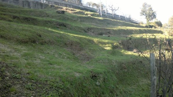 bifamiliare in vendita a Cicagna in zona Serra