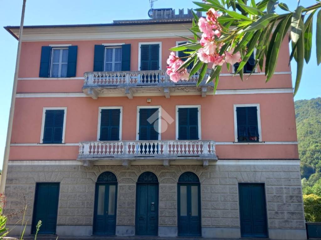 appartamento in vendita a Cicagna in zona Monleone