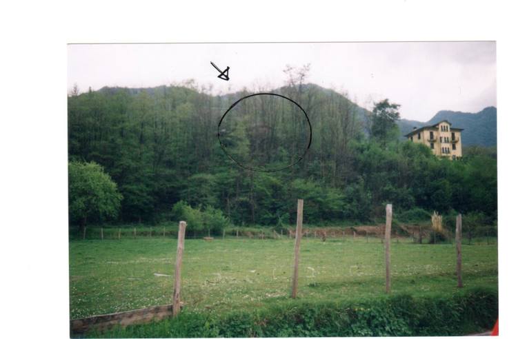 casa indipendente in vendita a Cicagna