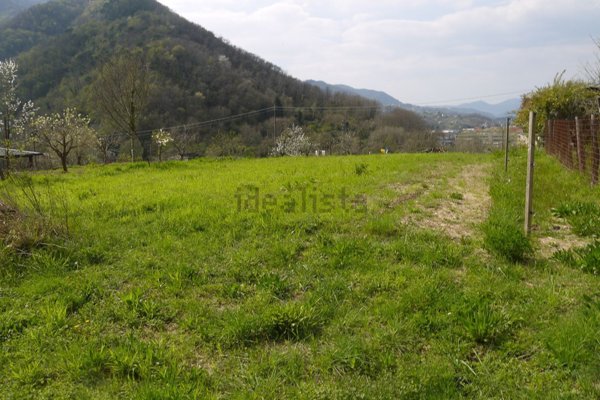 quadrivano in vendita a Cicagna