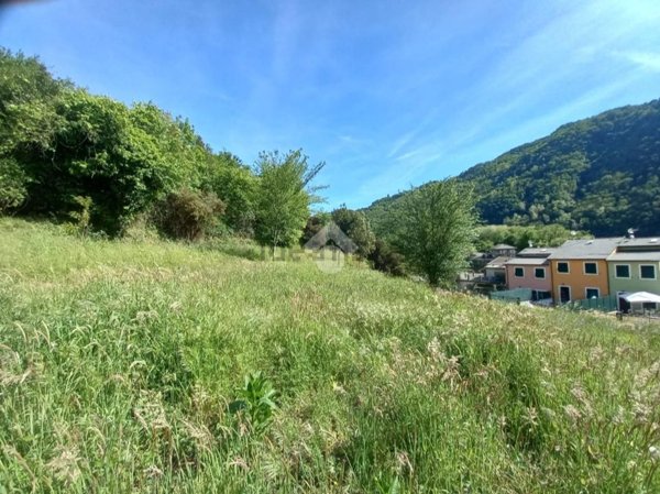 terreno agricolo in vendita a Cicagna