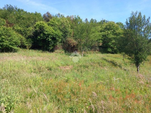 terreno agricolo in vendita a Cicagna in zona Pianezza