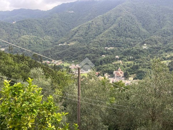 casa semindipendente in vendita a Cicagna