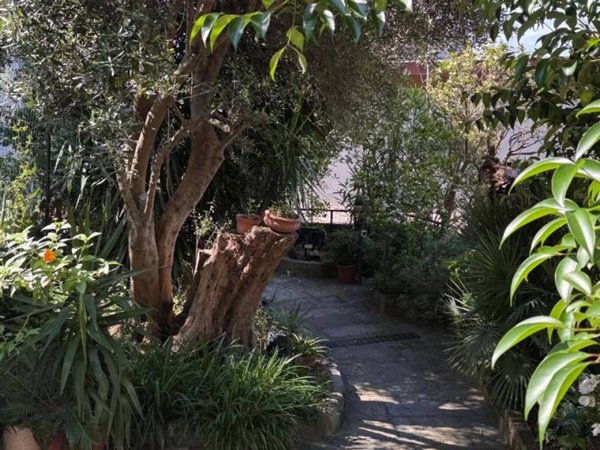 casa indipendente in vendita a Cogoleto