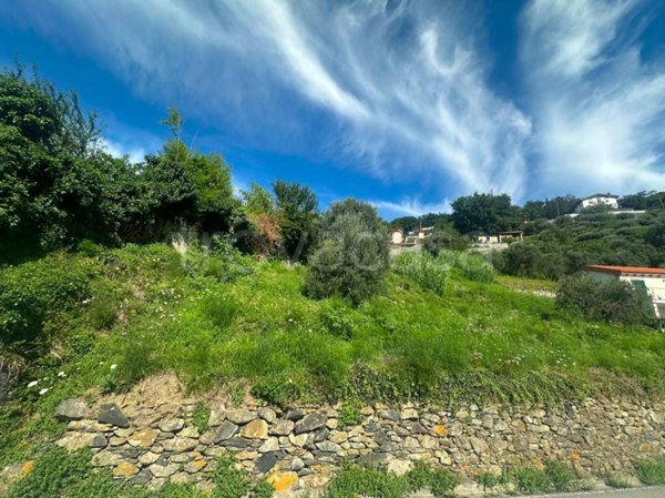 terreno agricolo in vendita a Cogoleto in zona Sciarborasca