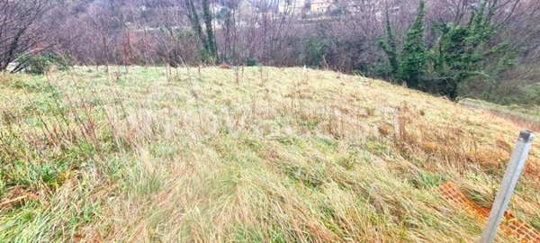 terreno agricolo in vendita a Cogoleto in zona Sciarborasca