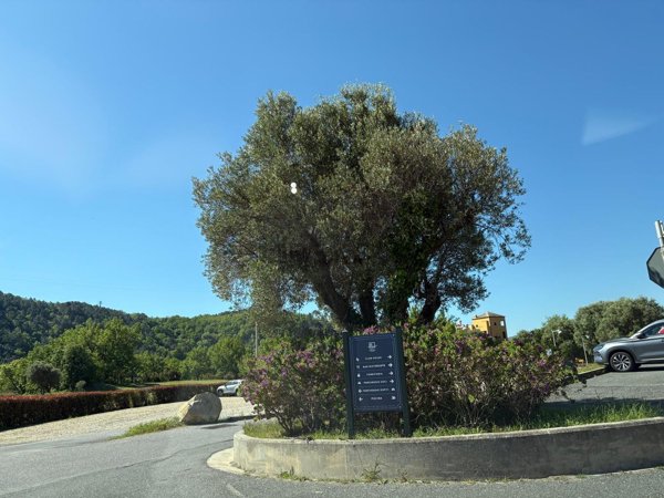 appartamento in vendita a Cogoleto