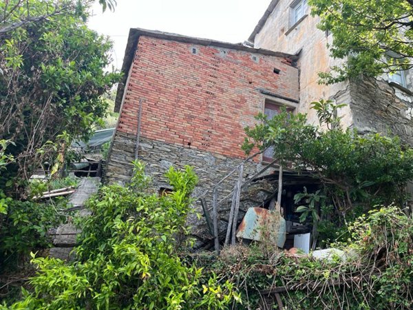pentavano in vendita a Cogorno in zona Breccanecca