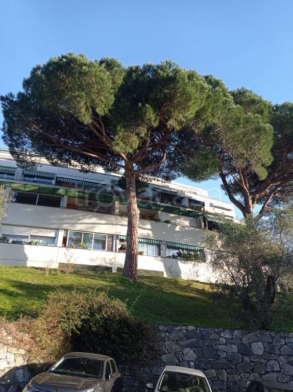 appartamento in vendita a Cogorno in zona San Salvatore