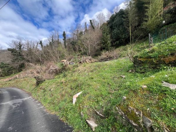 terreno edificabile in vendita a Cogorno in zona San Salvatore