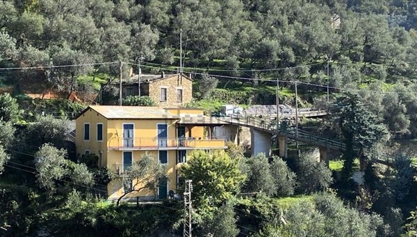 casa indipendente in vendita a Cogorno