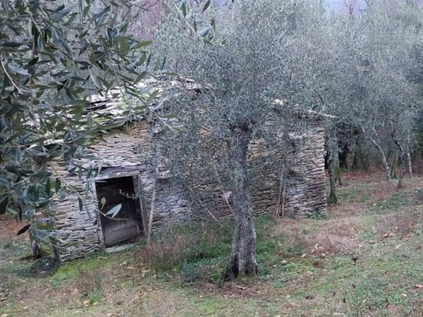 terreno agricolo in vendita a Cogorno