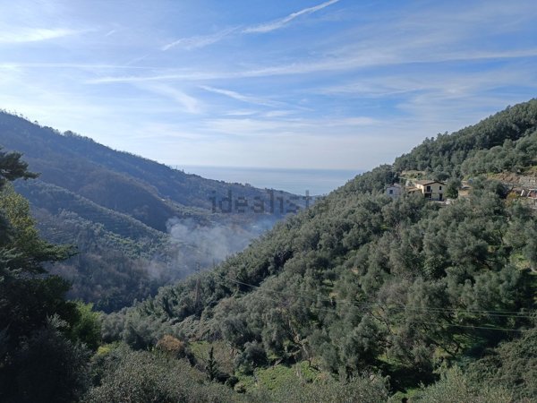 casa indipendente in vendita a Cogorno